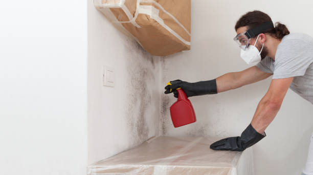 Professional Bathroom Mold Removal technician working in Carle Place, NY